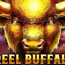 1 Reel Buffalo game icon